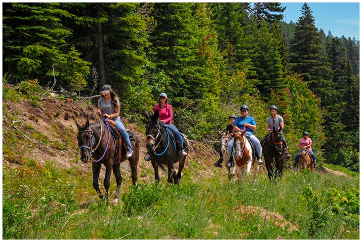 Horseback Riding Tours