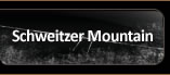 Schweitzer Mountain Info